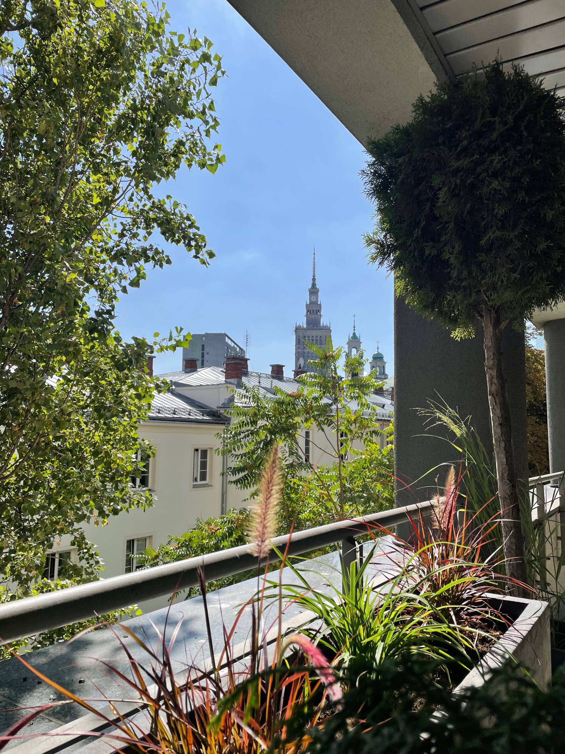 Ogród Warszawa Śródmieście